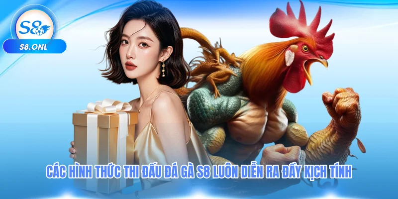 cac-hinh-thuc-thi-dau-da-ga-s8-luon-dien-ra-day-kich-tinh